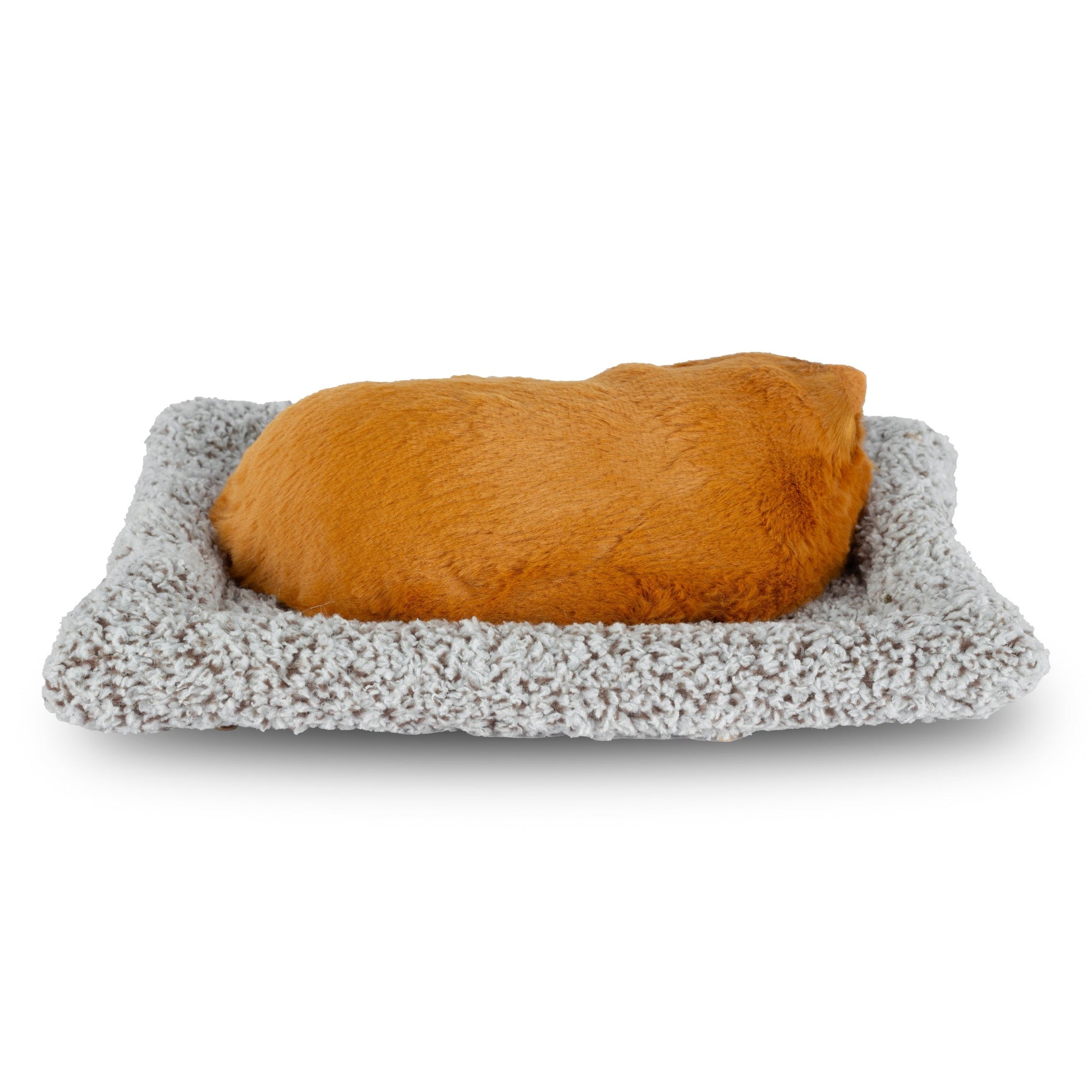 sleeping dog for car dashboard
