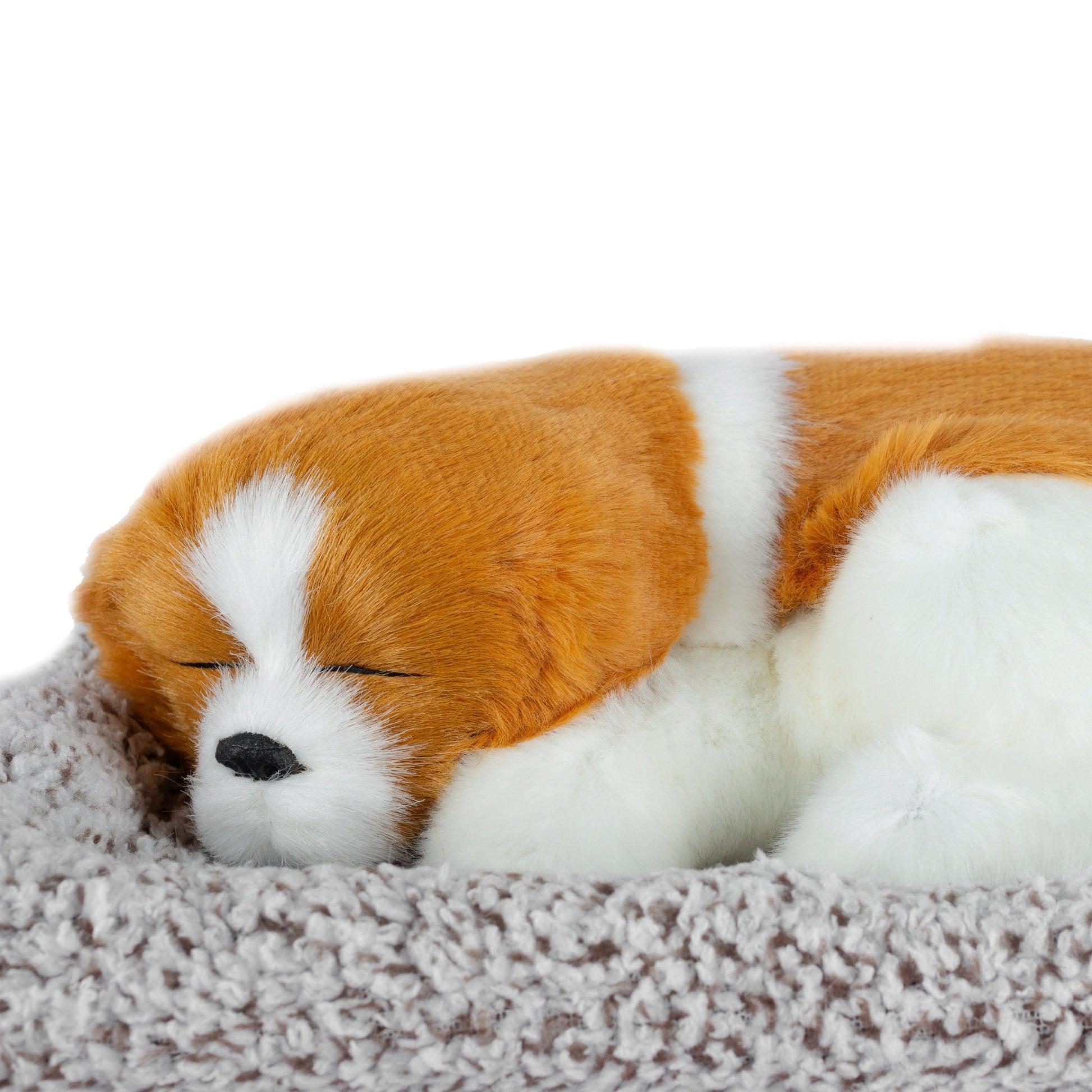 sleeping toy