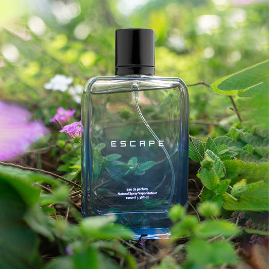 escape perfume