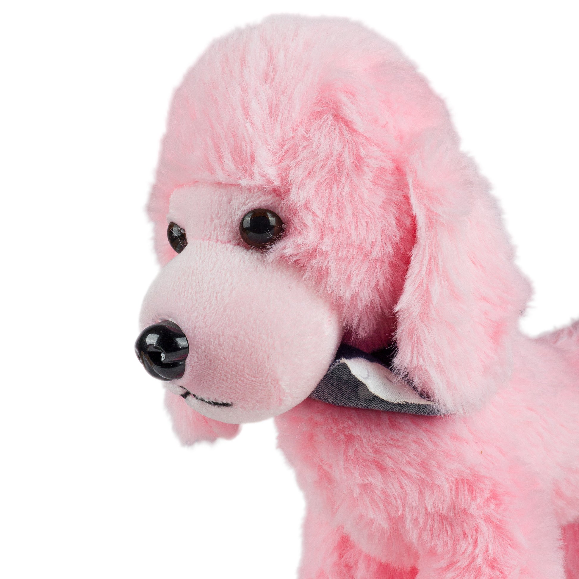 Poodle Puppy Soft Toy | Size: 1.1 ft tynimo